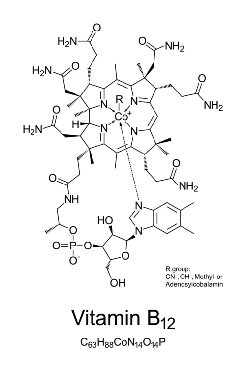 Vitamín B12