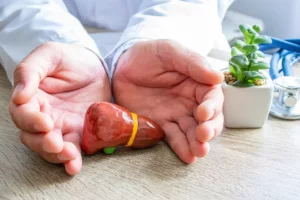 Lekár chráni v dlaniach model pečene pri pracovnom stole, vedľa malého kvetu a stetoskopu – symbol ochrany a starostlivosti o pečeň.