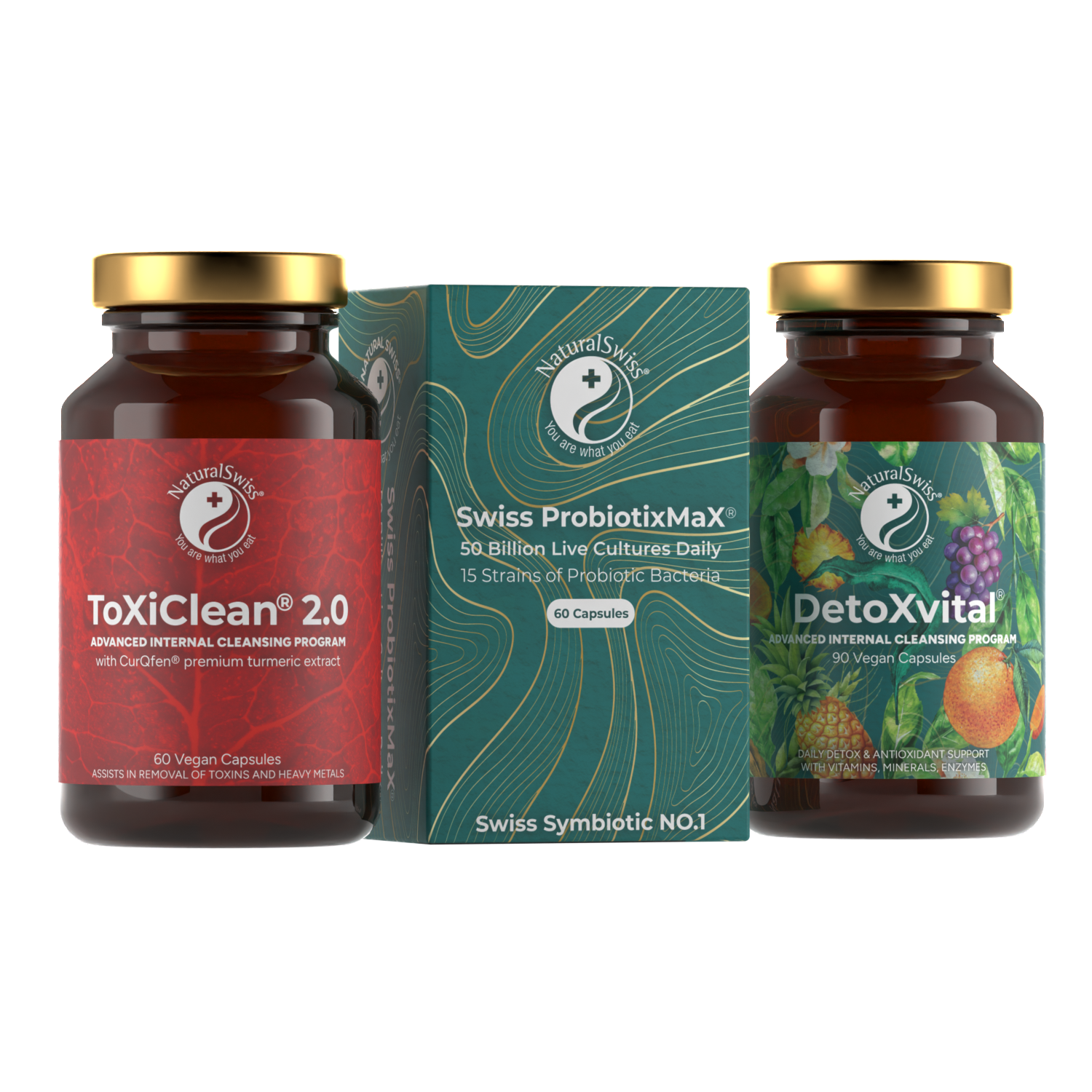 Program ToXiClean